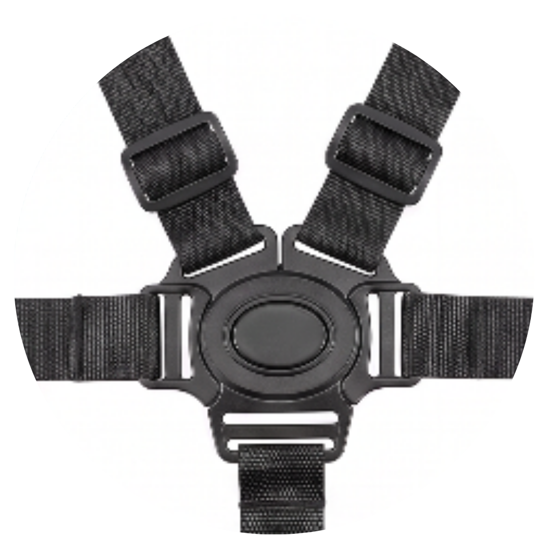 5-Point Safety Harness