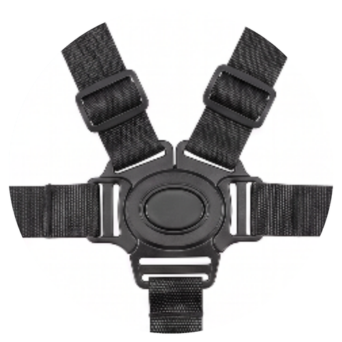 5-Point Safety Harness